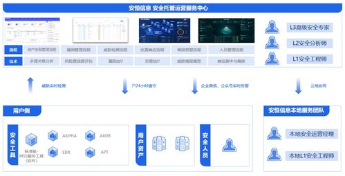 安恒信息領跑中國公有云托管安全服務市場，深化信息系統集成服務優勢