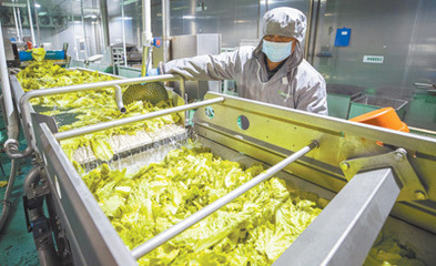 綠色消費(fèi)新風(fēng)尚 從餐桌開始，擁抱環(huán)保健康新生活