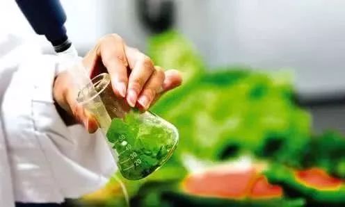 警惕網(wǎng)購食品安全 解讀12批次抽檢不合格事件與技術(shù)服務(wù)責(zé)任